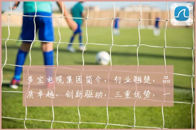 多宝电缆集团简介，行业翘楚，品质卓越，创新驱动，三重优势，一网打尽
